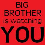 Big Brother is Watching You sign